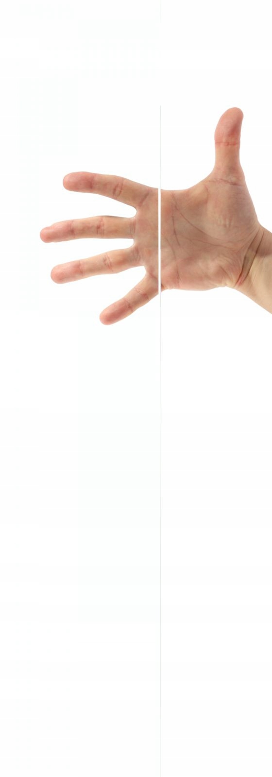 Drzwi prysznicowe szklane Eos DWD 180 UltraClear Wykończenie szkła przezroczyste