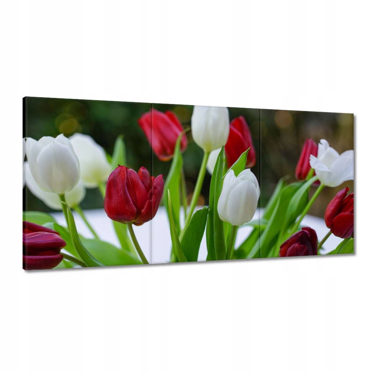 Obrazy 180x90 Tulipány Kvety