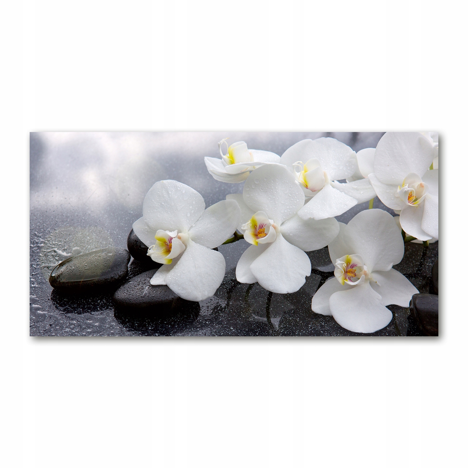 

Foto obraz duży akryl nowoczesny Orchidea 120X60cm