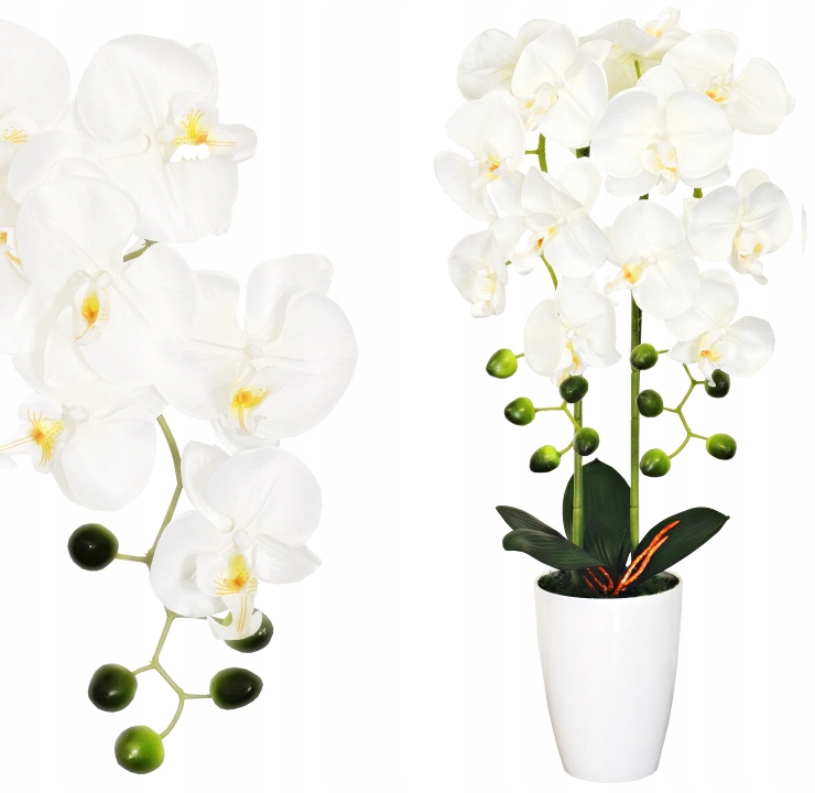 

Storczyk Sztuczny Storczyki Kwiat Orchidea