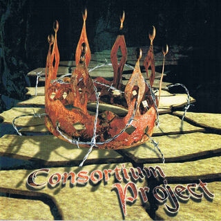 Ian Parry Consortium Project CD