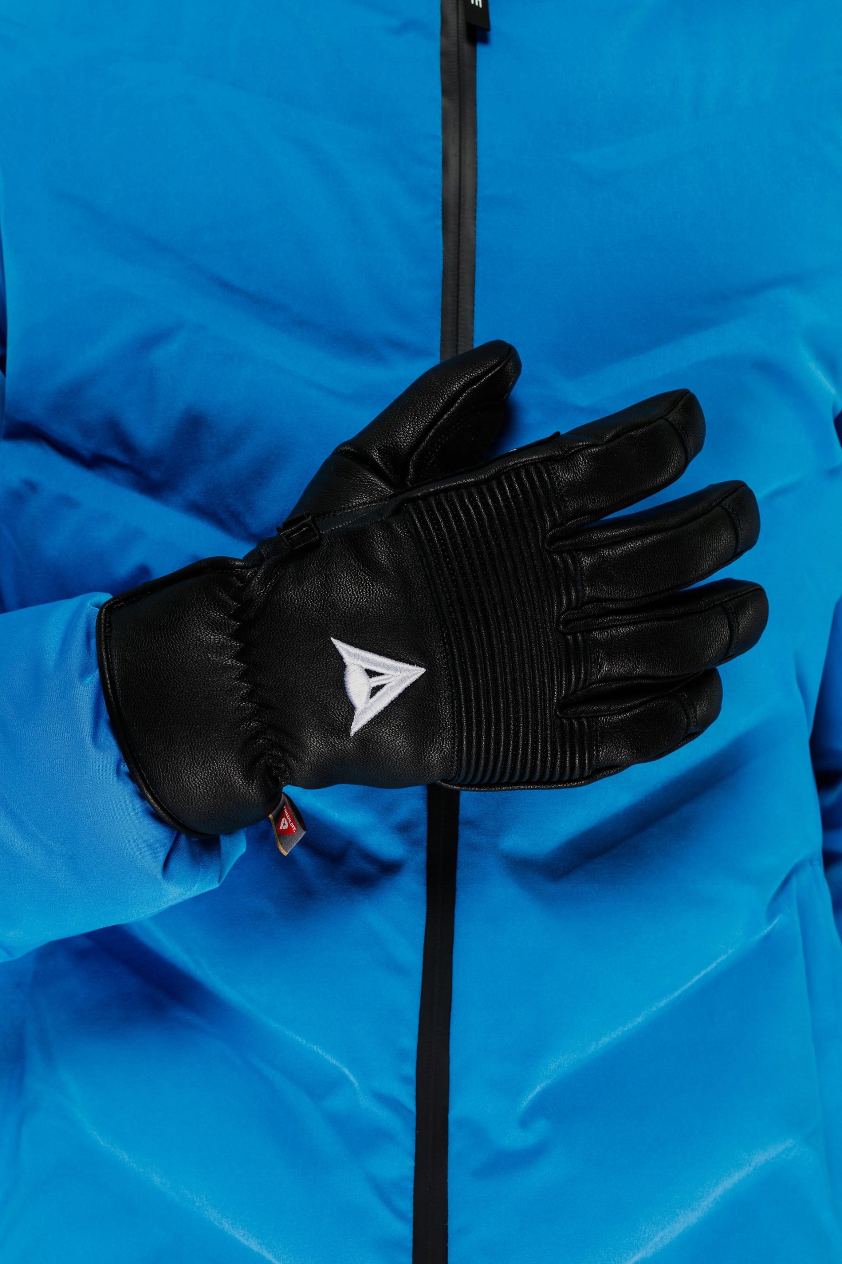 Lyžařské rukavice Dainese Leather Gloves Černé M