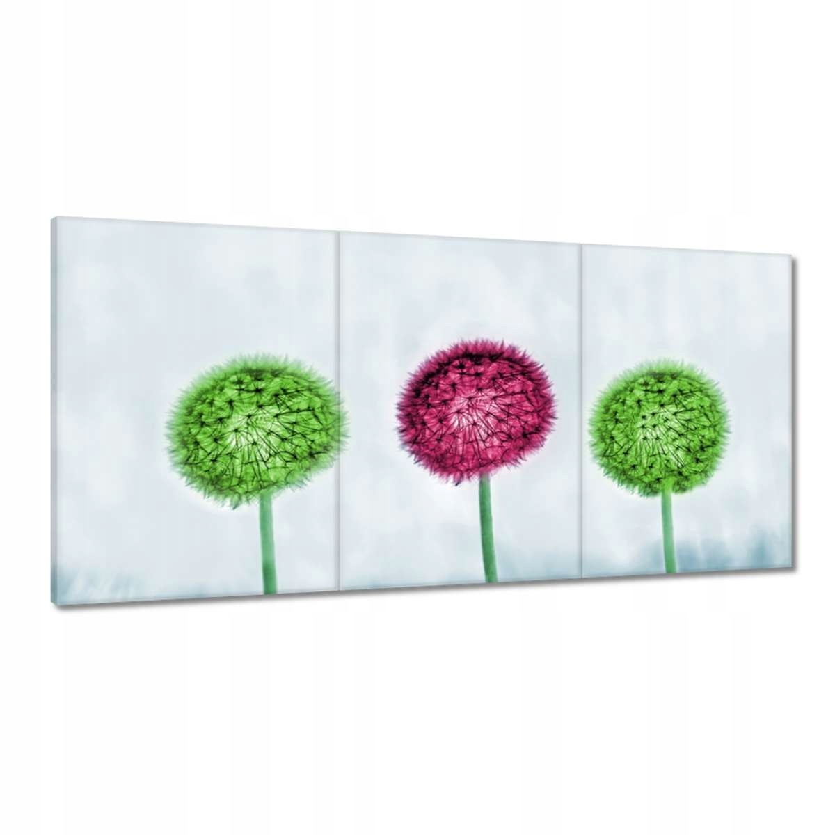 Obrazy 180x90 Farebné dúchadlá