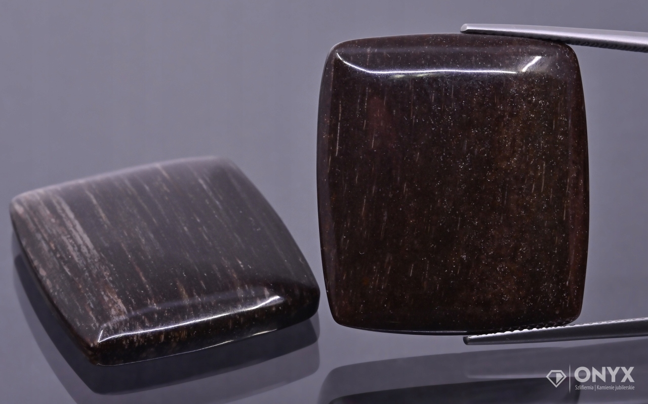 Zkamenělé dřevo nízký kabošon cushion 28x25 mm