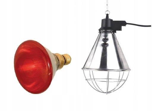 

Lampa grzewcza sztuczna kwoka promiennik Zestaw