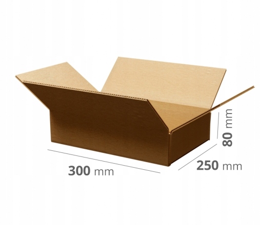 100 szt. Karton Pudło klapowe 300x250x80 mm szare 340 g/m2 Gabaryt A