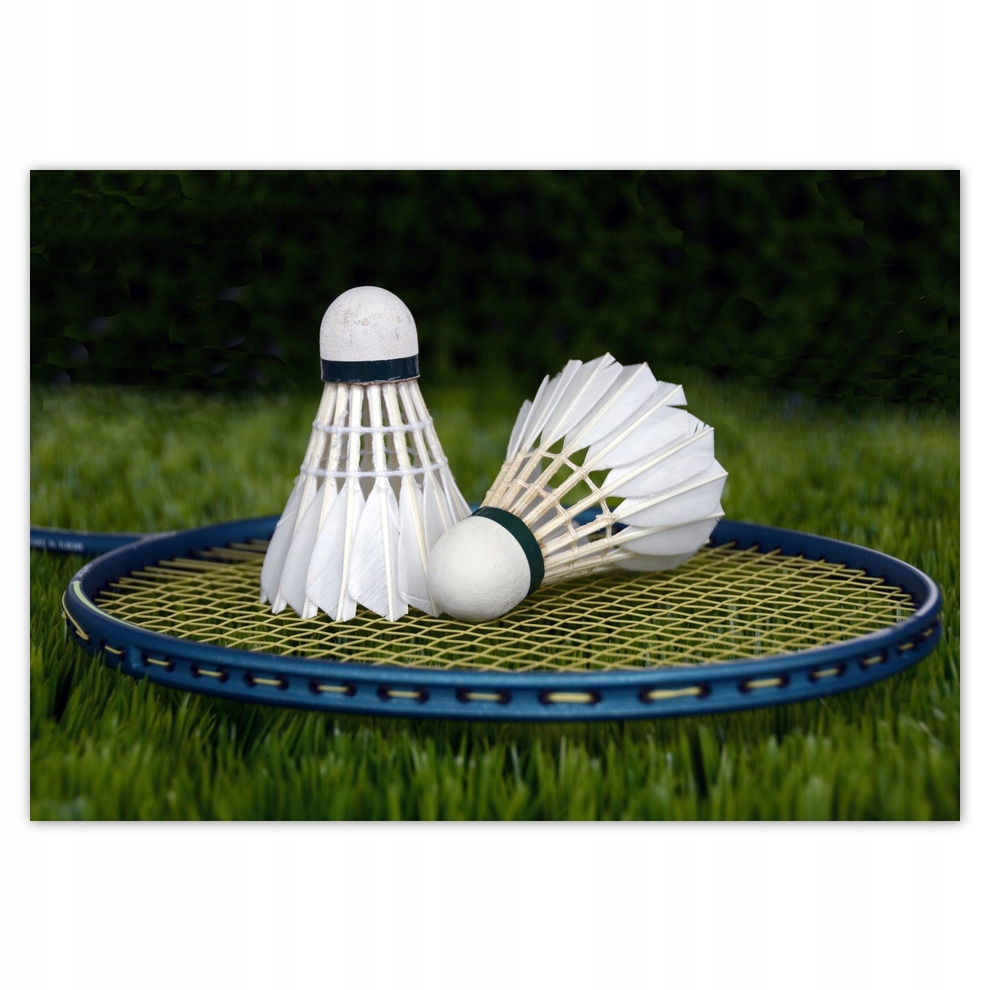 

Naklejki 100x70 Lotki Badminton