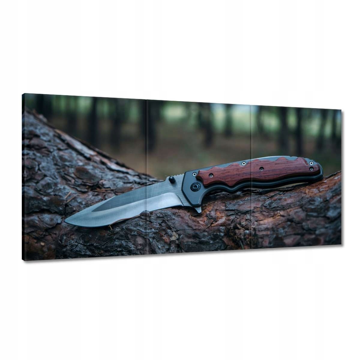 Obrazy 180x90 Nôž ležiaci na kmeni stromu