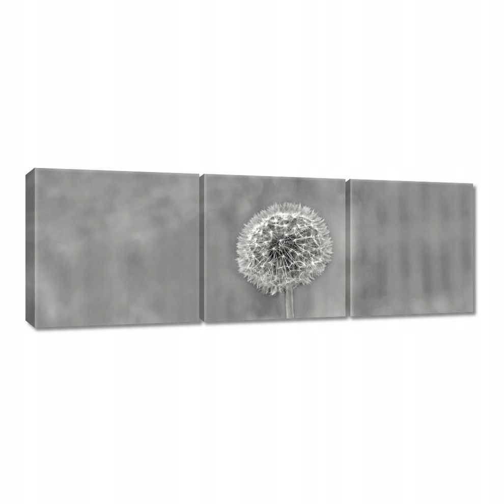 

Obrazy 60x20 Dmuchawiec