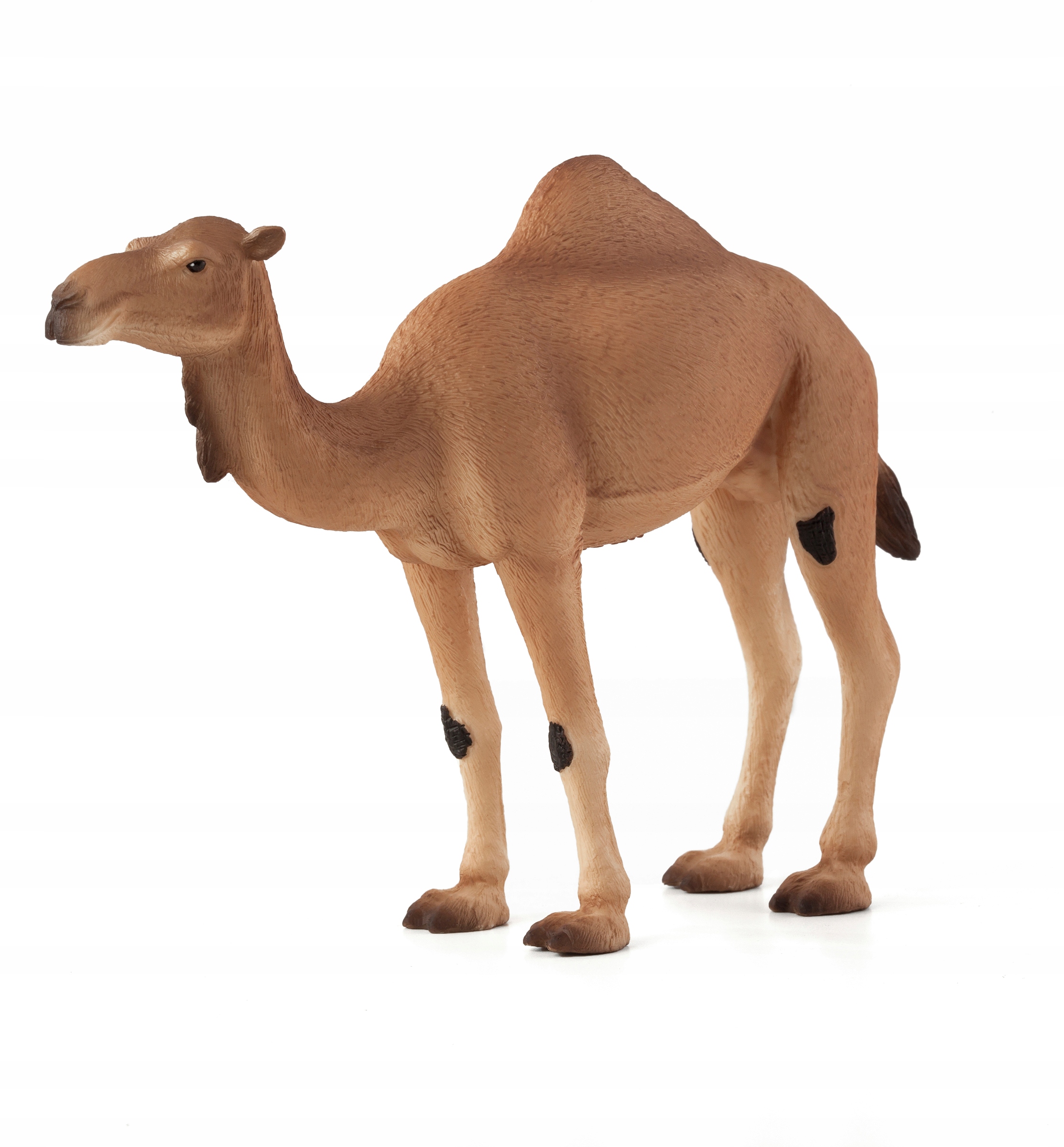 Фигурка Mojo Wildlife одногорбый верблюд 387113