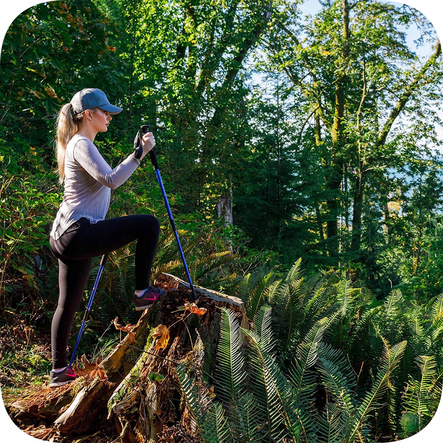 KIJKI DO CHODZENIA NORDIC WALKING KIJE TREKKINGOWE Grot stalowe