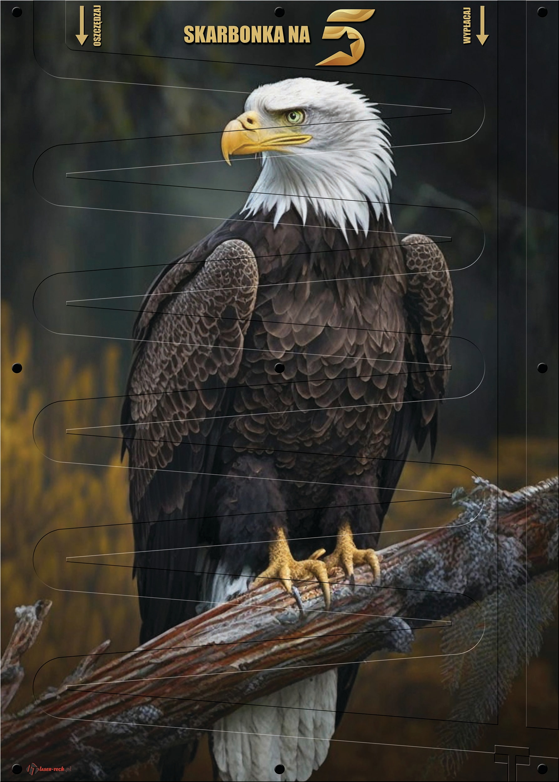 Pokladna Na 5 Zlotů XXL nástěnná 50x70 cm Obrázek Ptáka