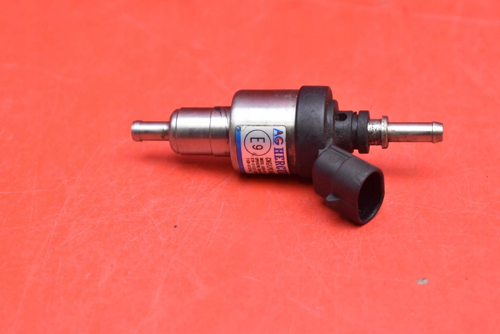 nozzle injector gas LPG 67R-011022 HERCULES