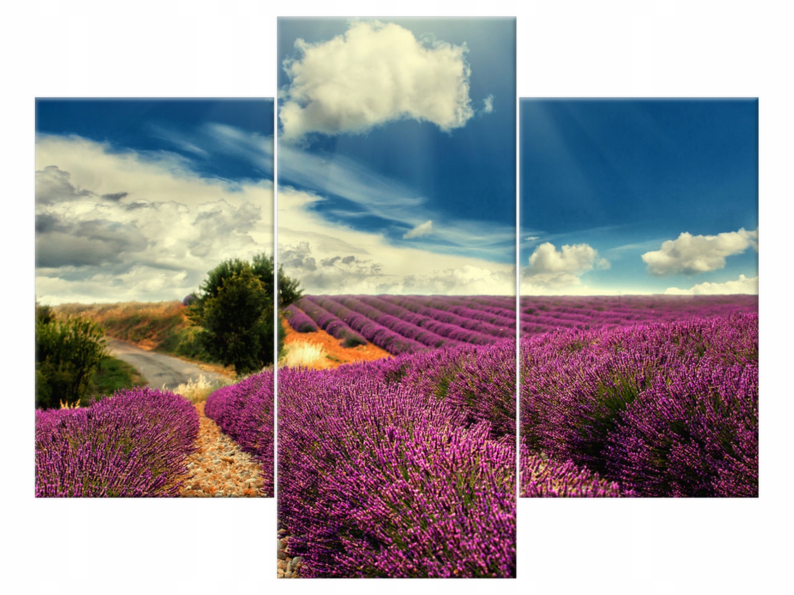 

Obraz 90x70 Niebo Lawendowy krajDrzewo Płótno