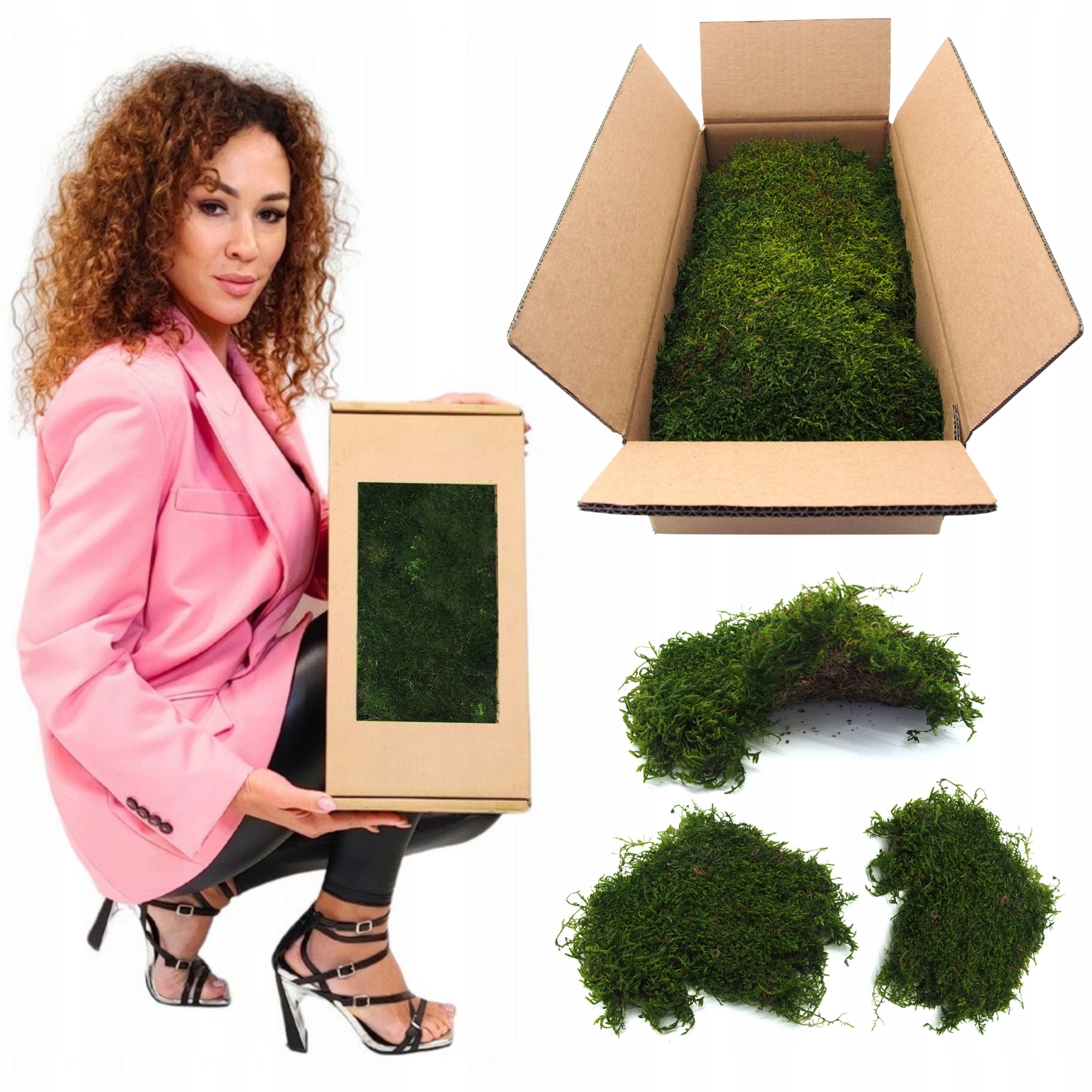 Mech Plochý středně zelený švédský 200g čistý Dekorativní živý ozdobný