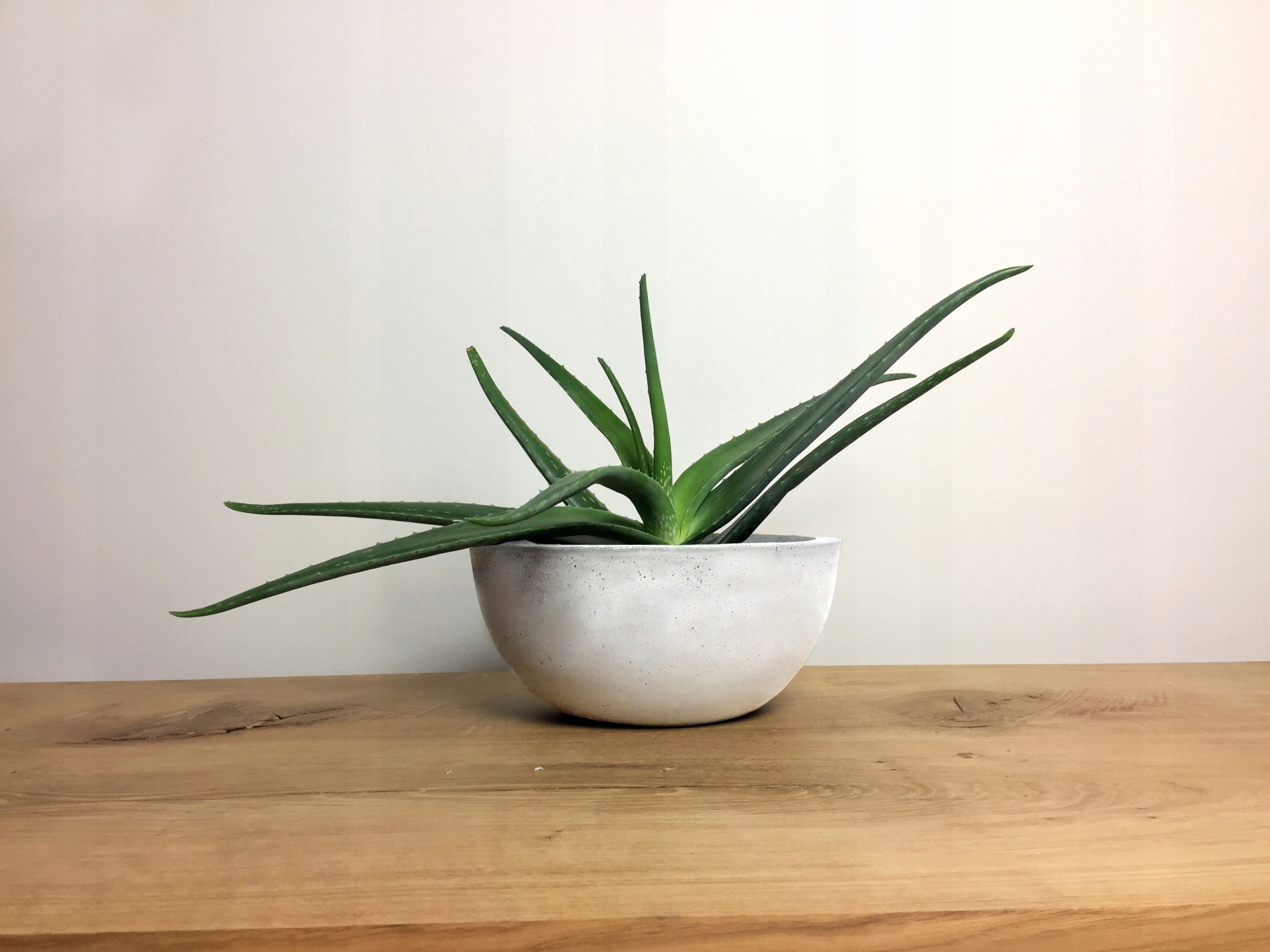 MISA BETONOWA DONICA MISKA BETON ARCHITEKTONICZNY Marka inny