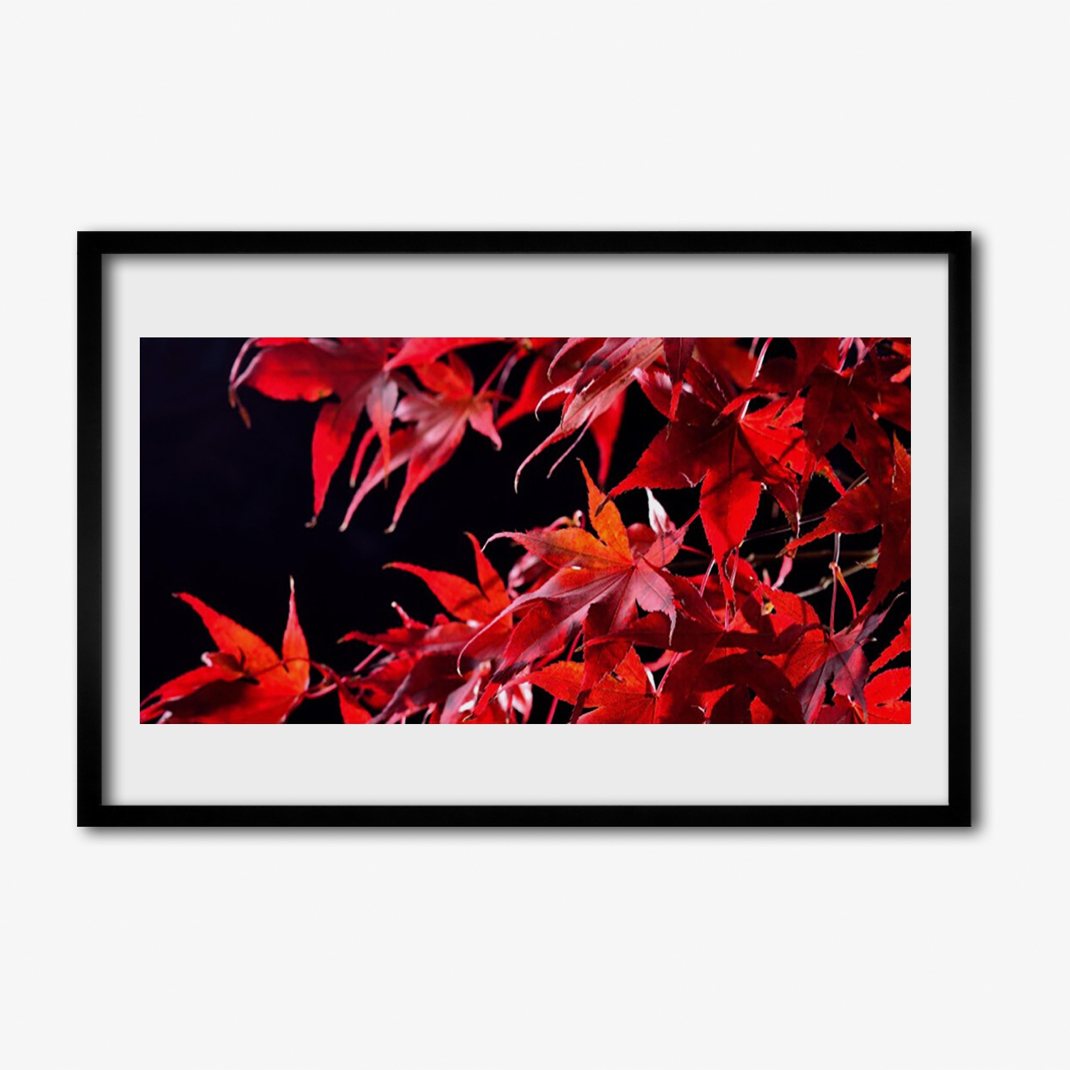 Obraz na zeď s rámečkem Listy rostlina 60x40 cm