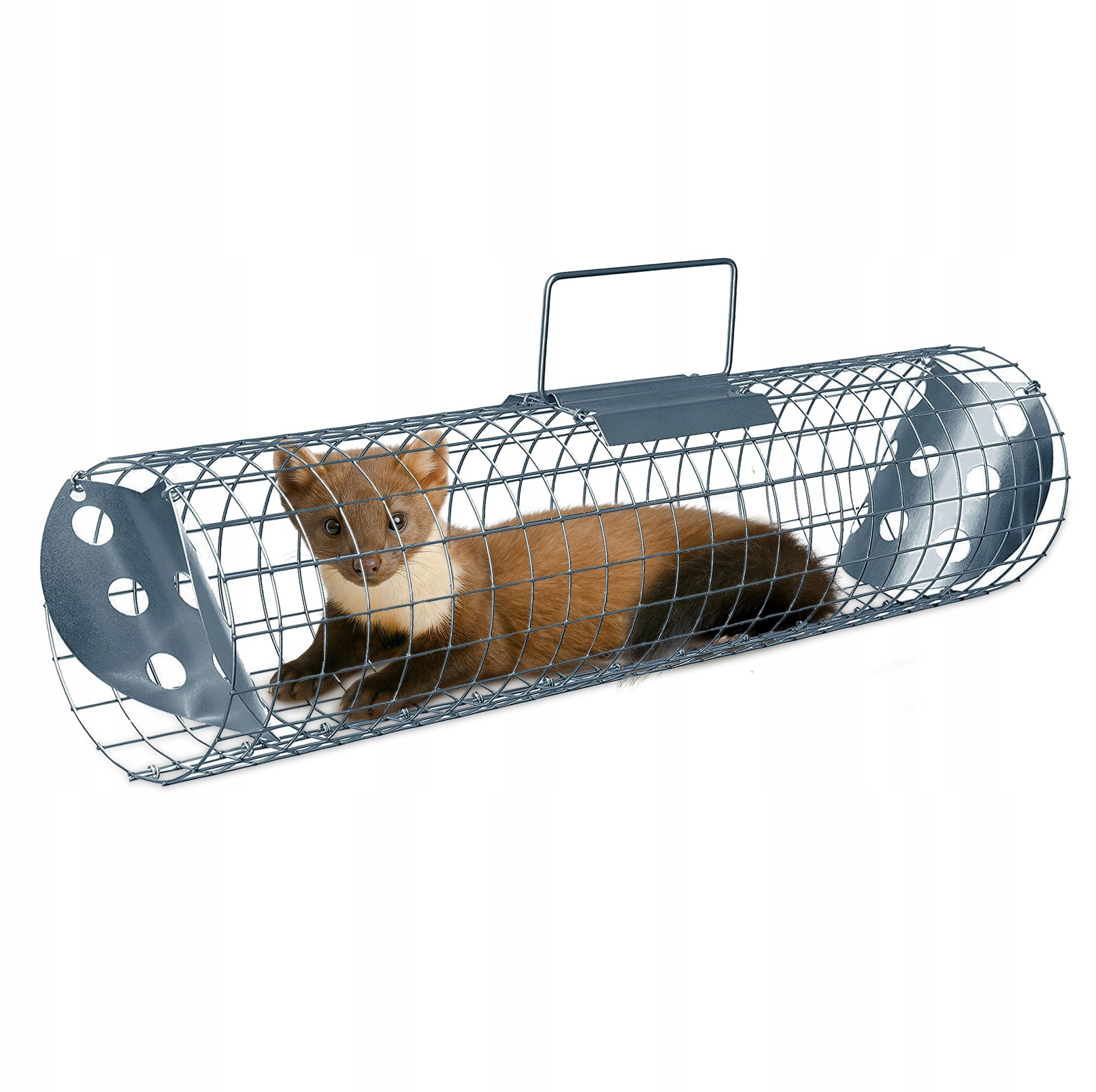 Pułapka Rynnowa Na Kuny Żywołowna Przelotowa Klatka 61CM +zestaw Akcesoriów