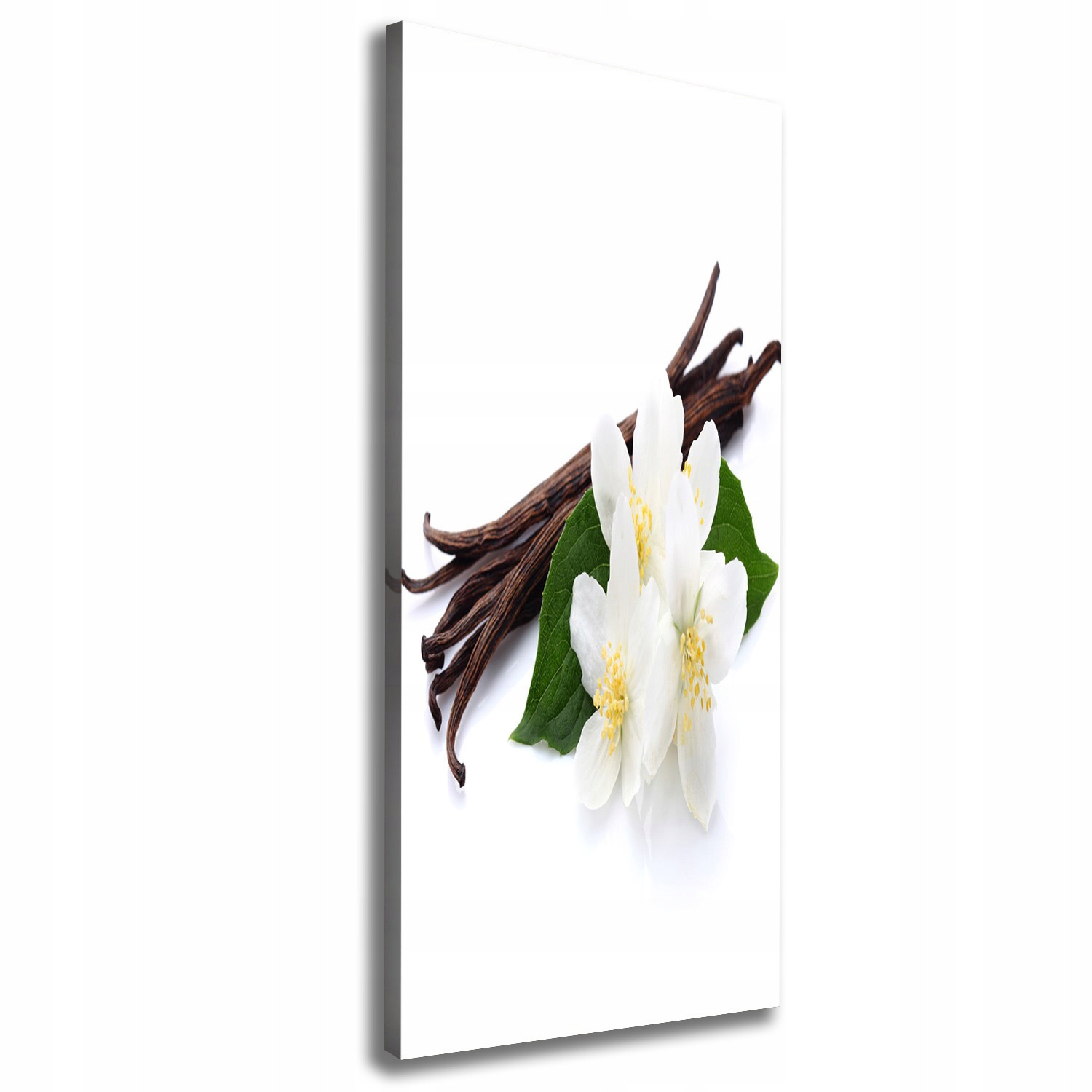 

Foto obraz na płótnie Jaśmin i wanilia 50x125 cm