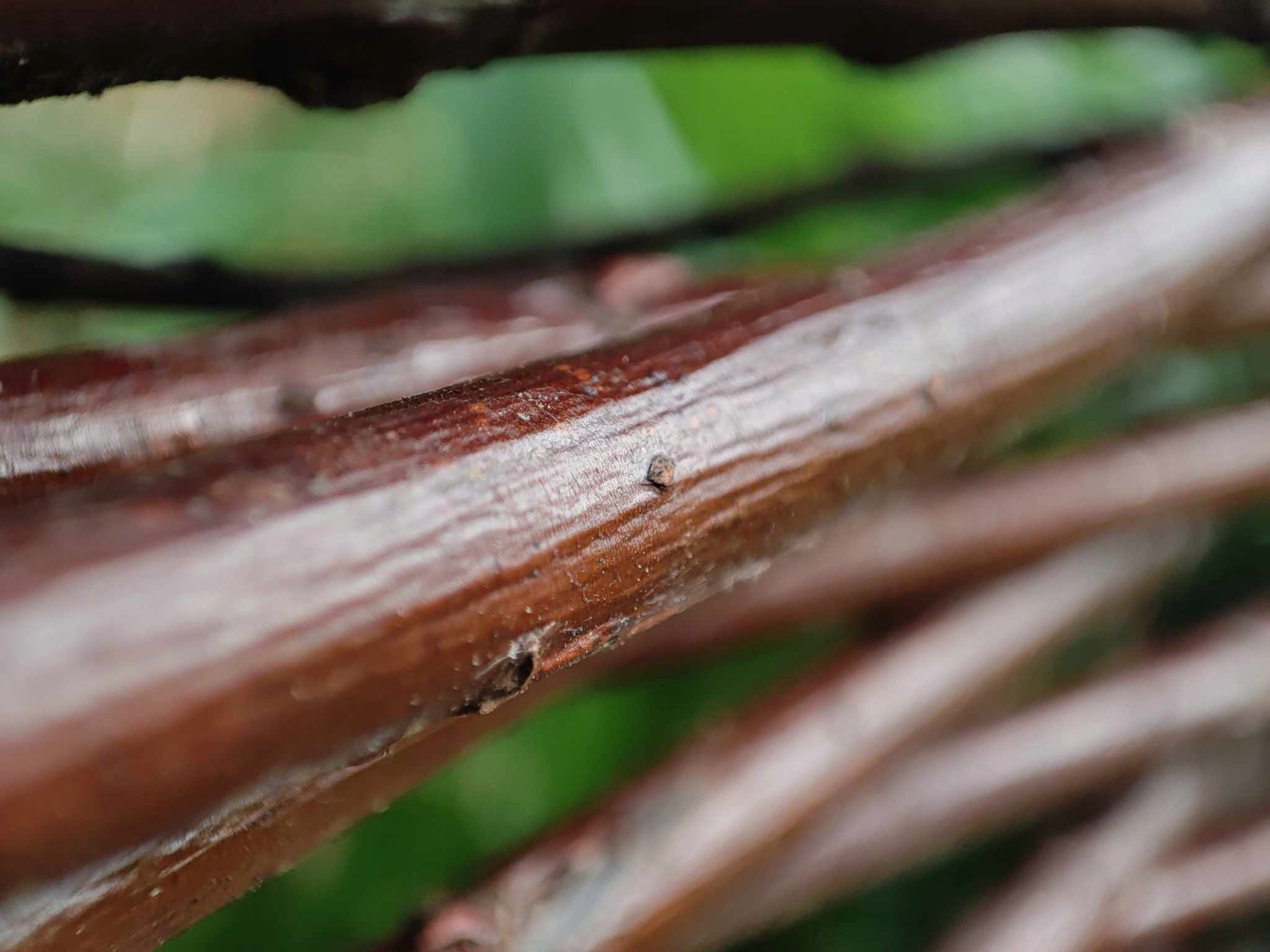 Palisada wiklinowa 100 x 10 Rabatówka Płot Obrzeże wiklinowy Kod producenta 222