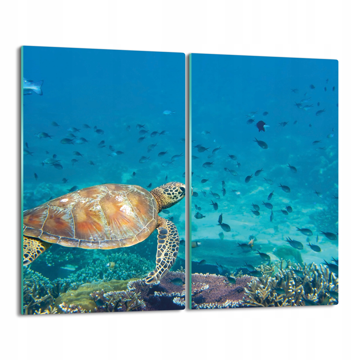 Kryt splashback Želva ryby útes oceán 2x 30x52