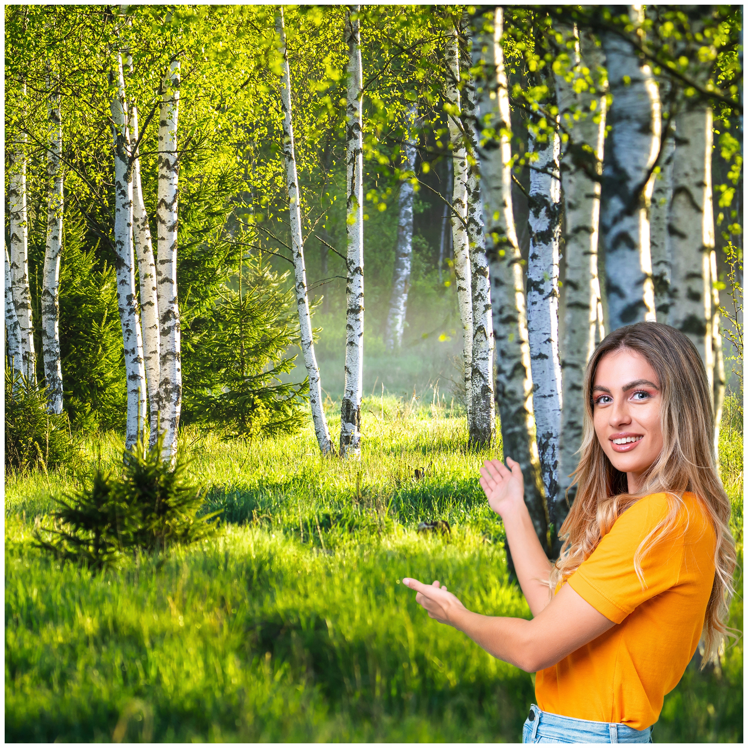 3D fototapeta Salon Spálňa Breza Les Stromy 490x280 BLD04F