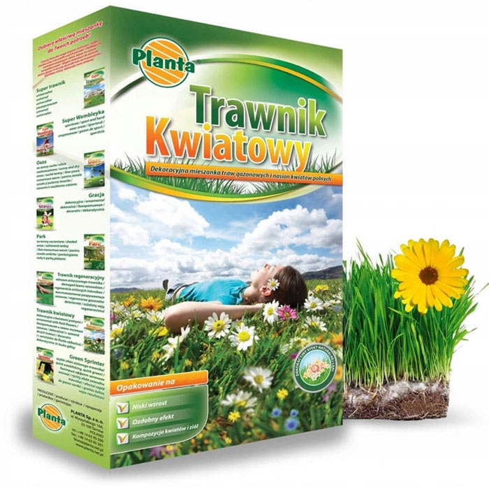 TRAWNIK KWIATOWY 1kg TRAWA +KWIATY MIX NASIONA ŁĄCZKA KWIETNA - WYPRZEDAŻ