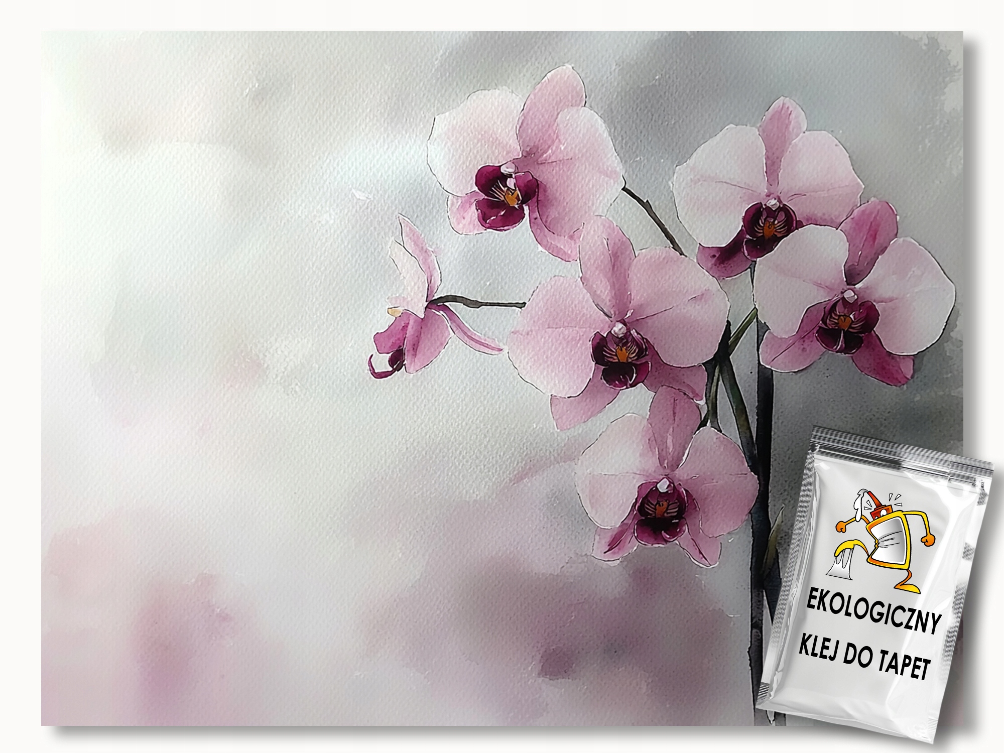 Fototapeta Flizelina Grafika Růžový Květ Orchidej 300x210 110g