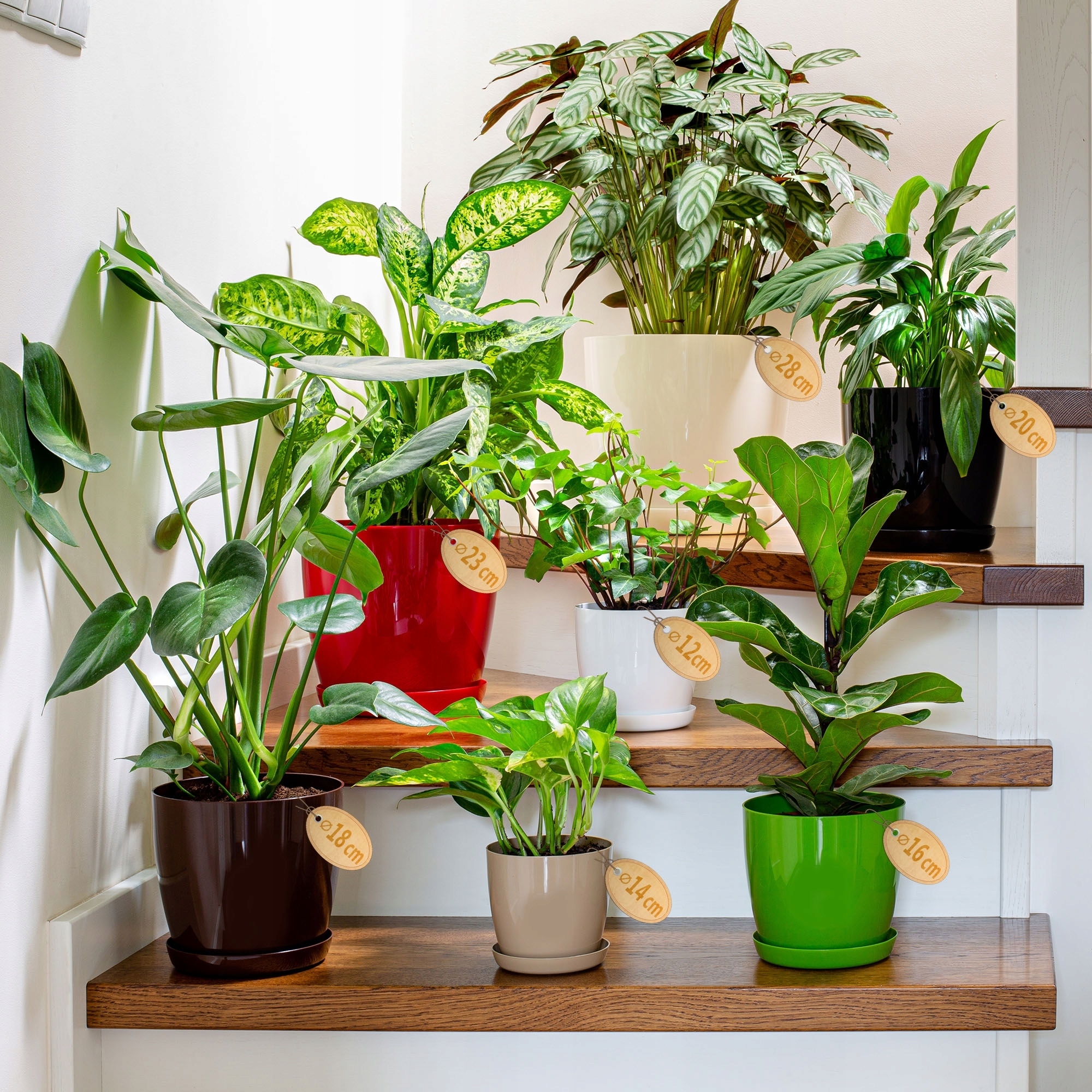 DONICZKA Z PODSTAWKĄ PLASTIKOWA OSŁONKA DONICA 16cm ZIELONA NA KWIATY KADAX Długość 13 cm