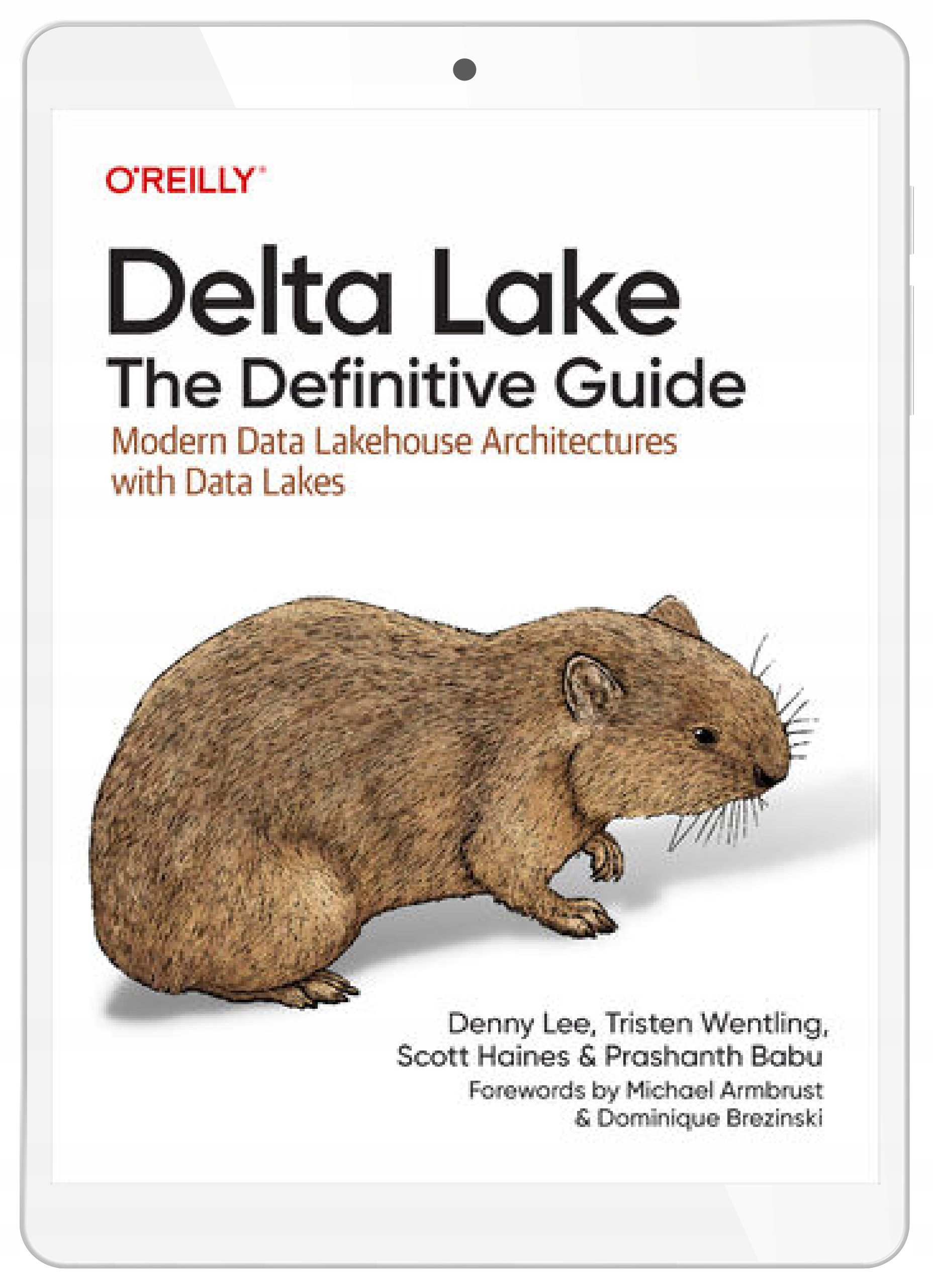Delta Lake: The Definitive Guide