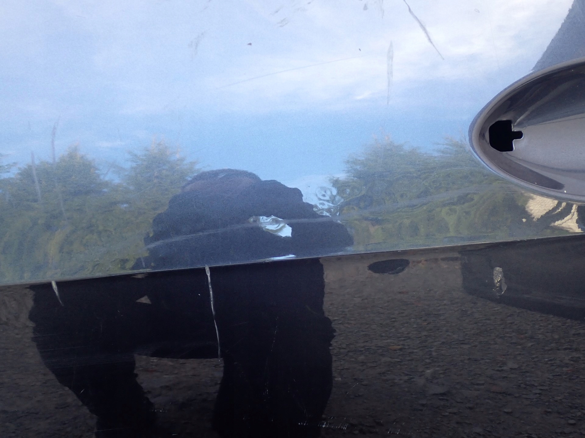 door left front left front BMW X7 G07 2019- 41518738555