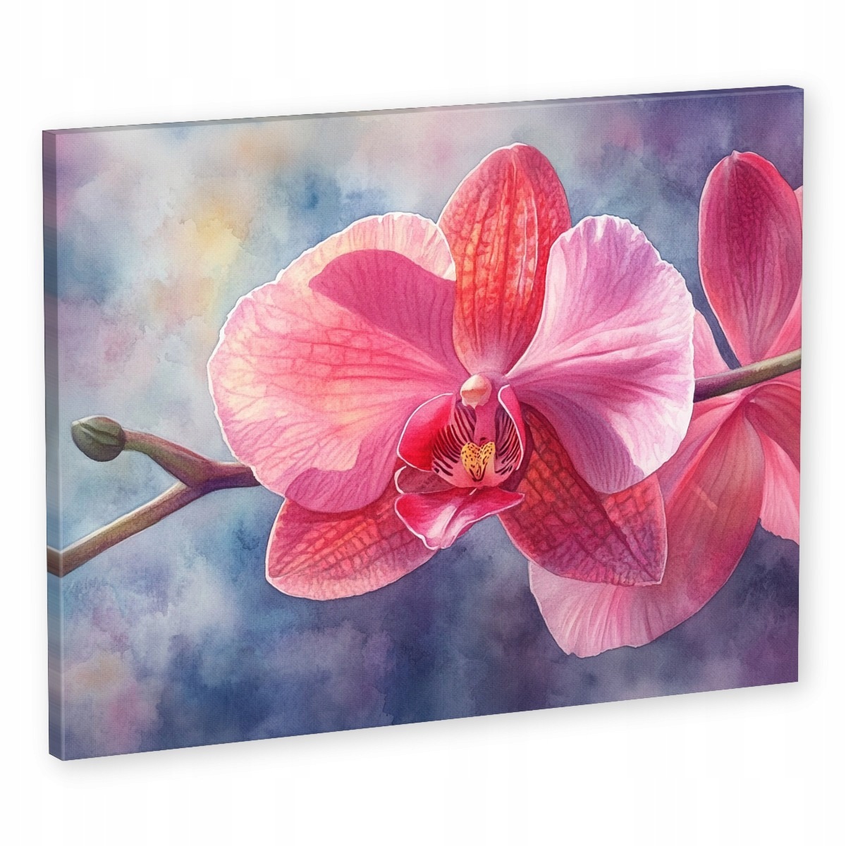 Obraz Na Plátně Canvas Grafika Orchidej Květ Růžový Orchidej 80x60