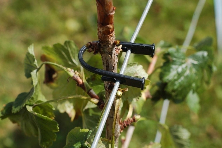 Rema 1091 Univerzální Klip délka 110 mm, balení 1000 ks