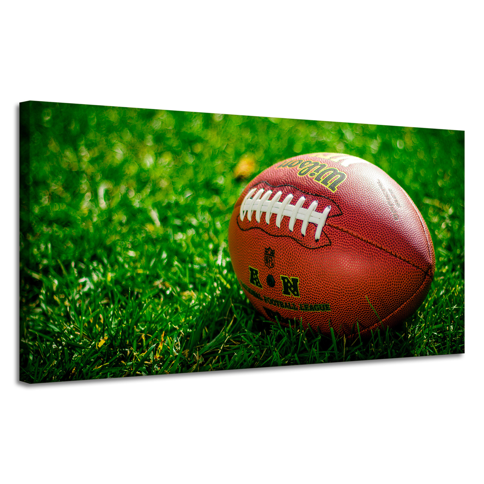 Obraz na plátně Pro Mládež Rugby Sport 120x60 cm