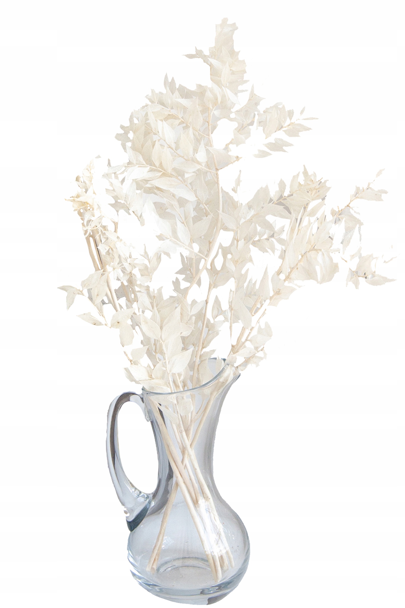 RUSKUS BIELONY RUSZCZYK do wazonu RUSCUS suszony