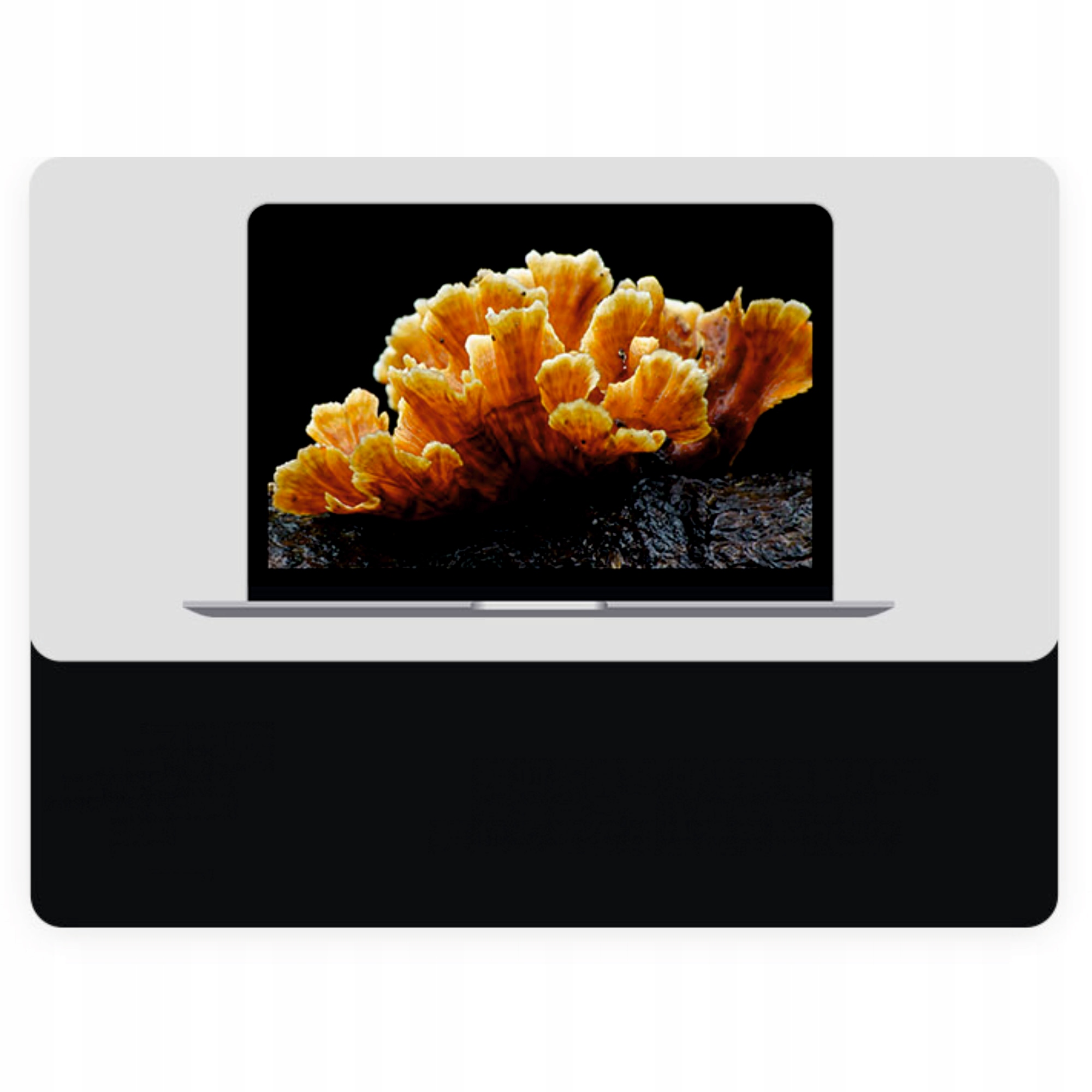 MIKROSKOP DO TELEFONU KOMPUTERA KIESZONKOWY 640x480pix DO SZKOŁY LUTOWANIA Model NM120