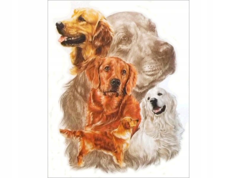 

Haft diamentowy Duży Obraz 40x30 Golden Retriever