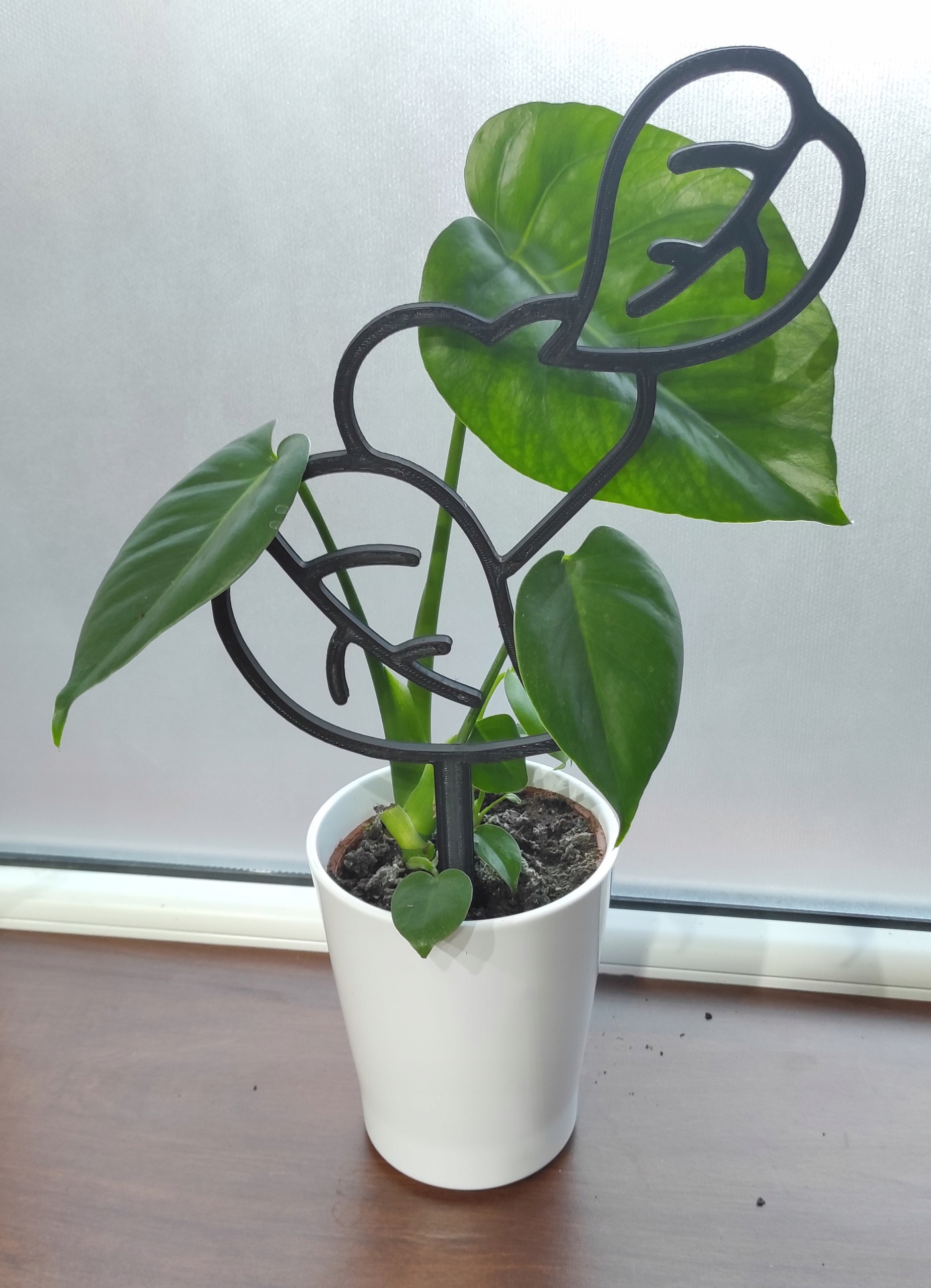 PODPÓRKA KWIATÓW ROŚLIN PERGOLA SERCE LIŚĆ 37 cm Rodzaj drabinka