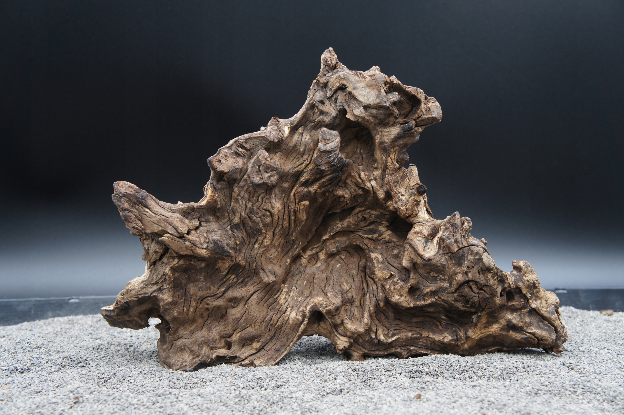 Kořen pro terarijní akvárium Jagged wood 30 cm – Přesně Jako Na Obrázku (J84)