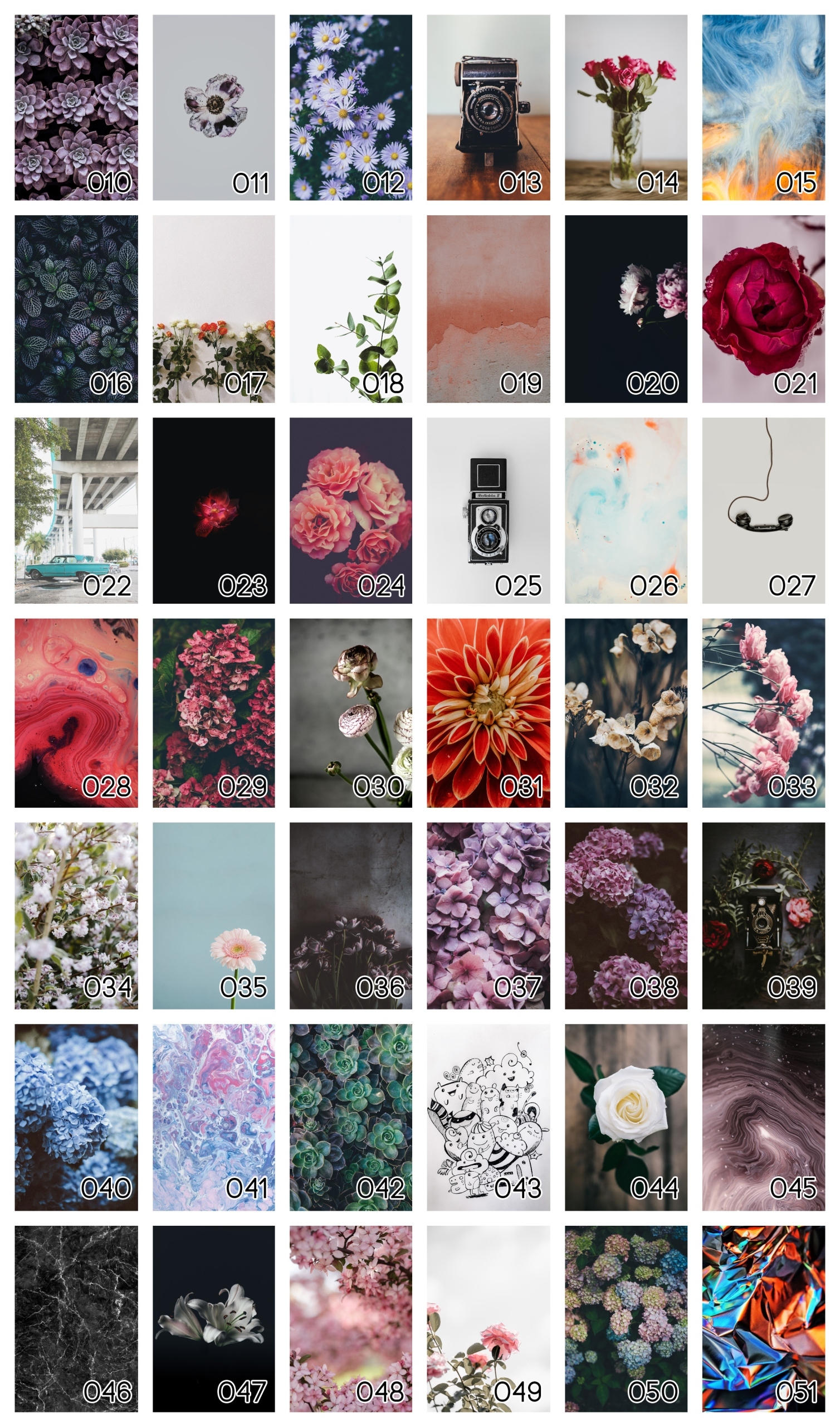 Plakat B2 50x70 cm Kwiat Natura Wiosna Zieleń WZOR Format pionowy