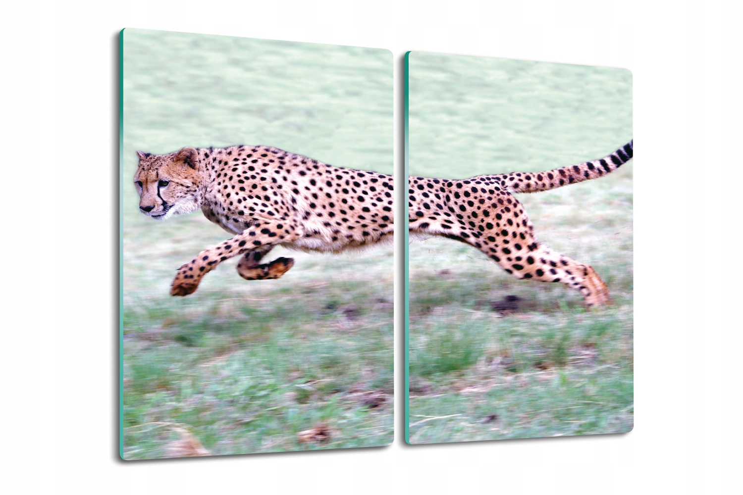 Deska z tvrzeného skla pro krájení a servírování Gepard na útěku tráva