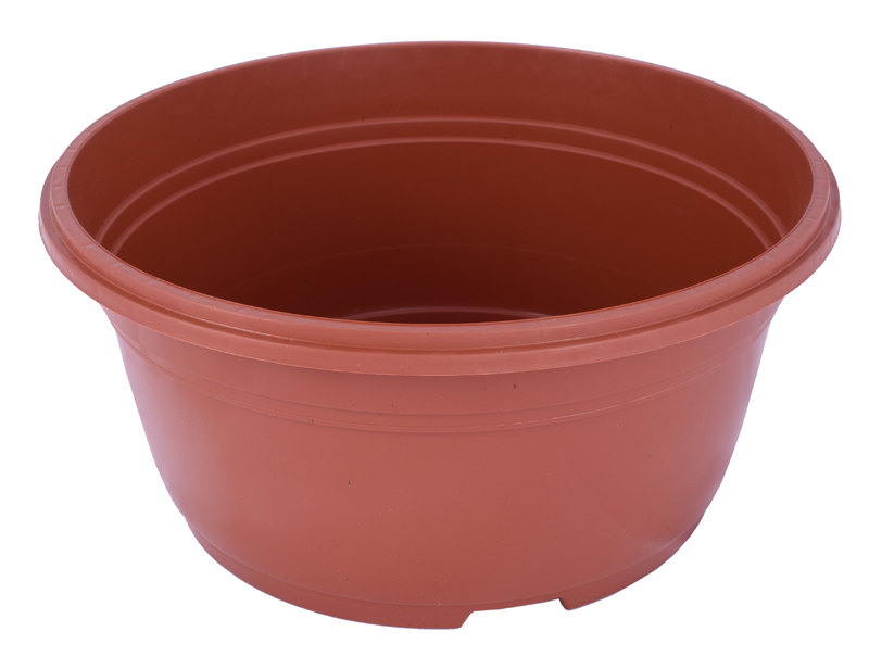 

Miska chryzantemowa produkcyjna 19cm 10szt