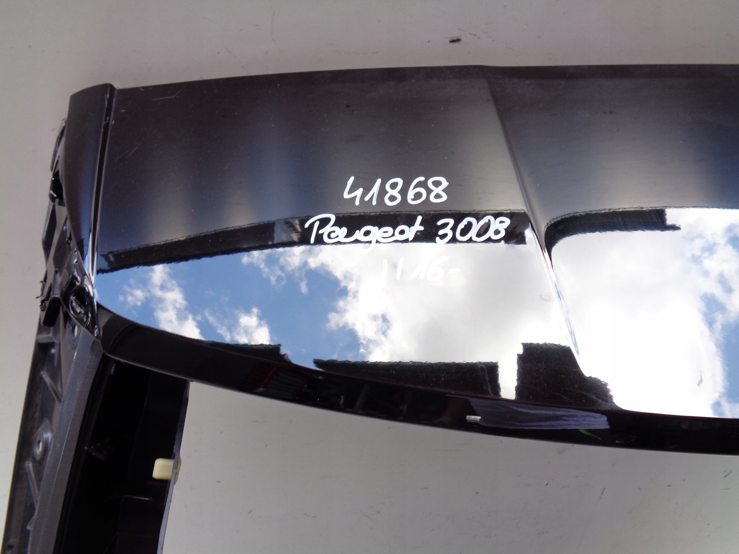 boot doors PEUGEOT 3008 II 16- NR 41868