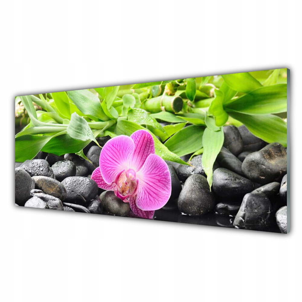 

Fotoobraz na ścianę 125x50 Kwiaty Orchidea Roślina
