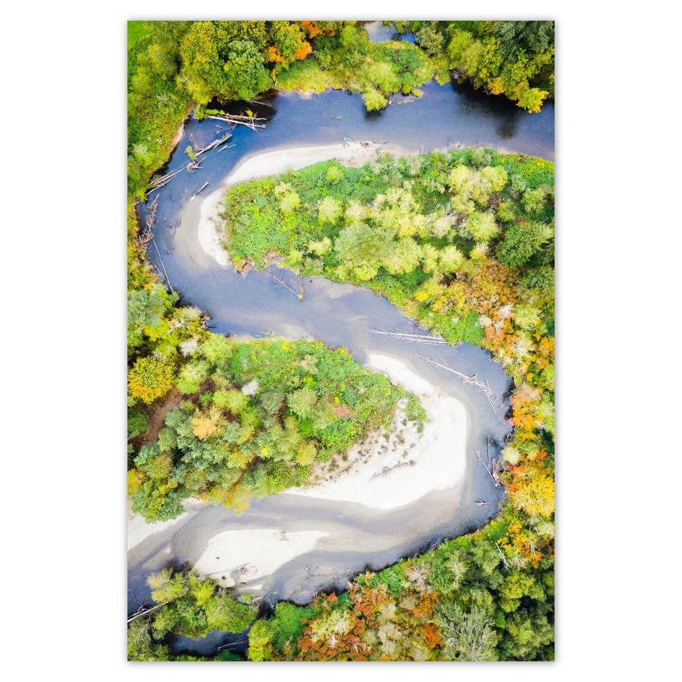 

Plakaty 40x60 Kręta droga Las Jesień