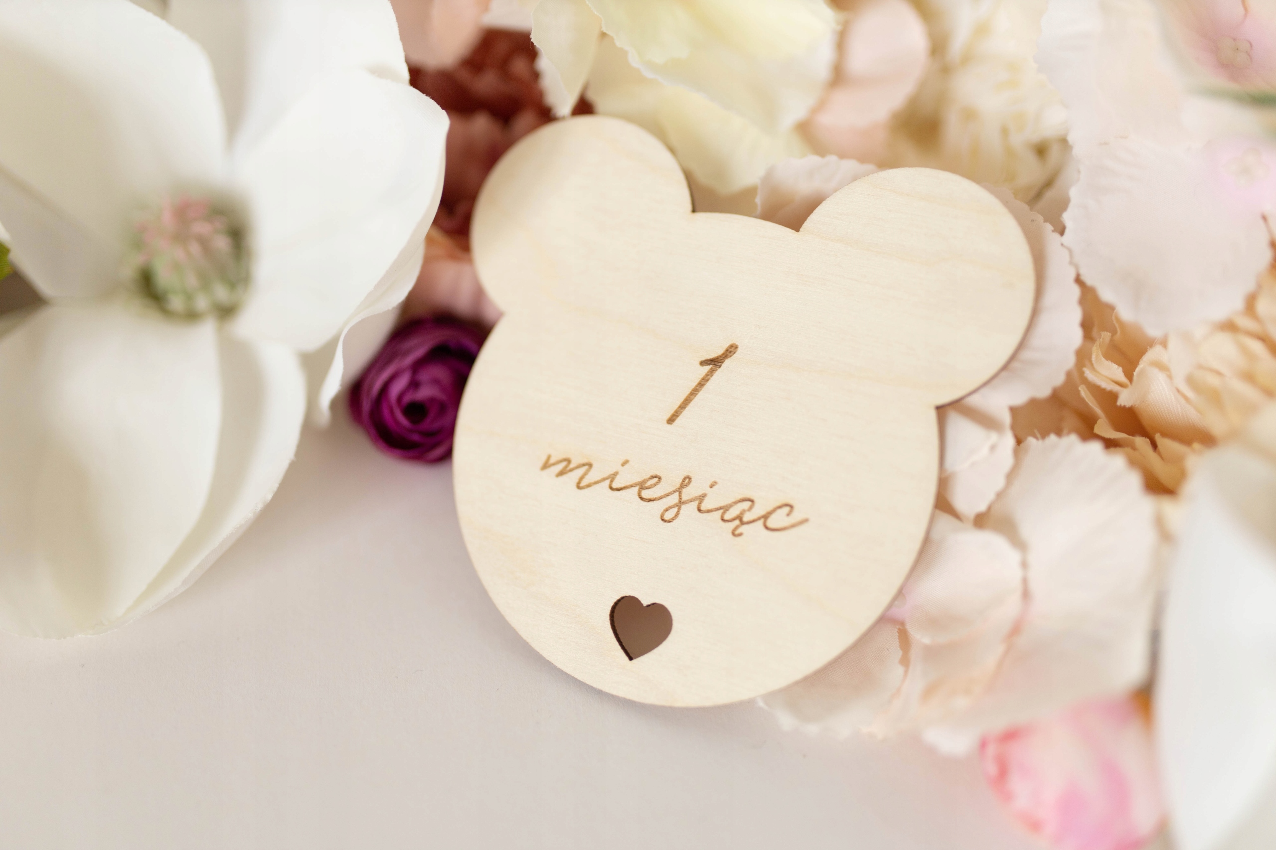 Karty Do Zdjęć Pierwszy Rok Tabliczki MIŚ 14 szt Materiał drewno