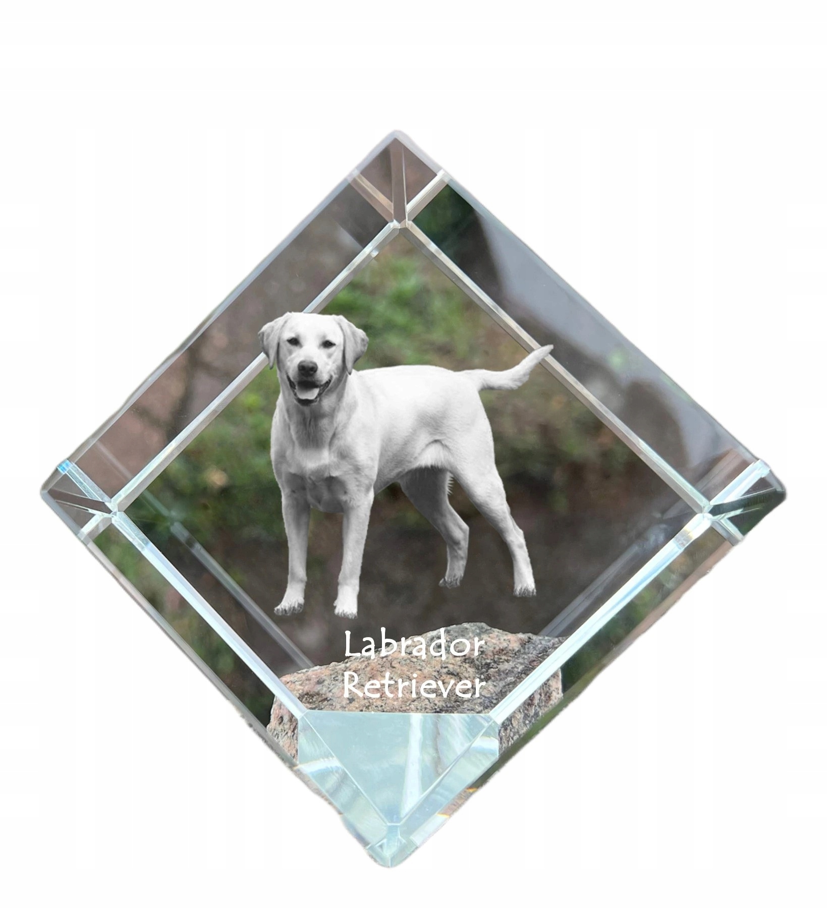 Labradorský retriever s krištáľovou kockou a fotografiou psa, ozdoba na stôl