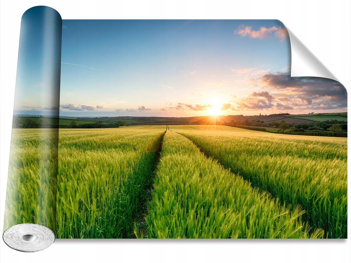 

Tapeta Samoprzylepna Jęczmień Pola 104x70