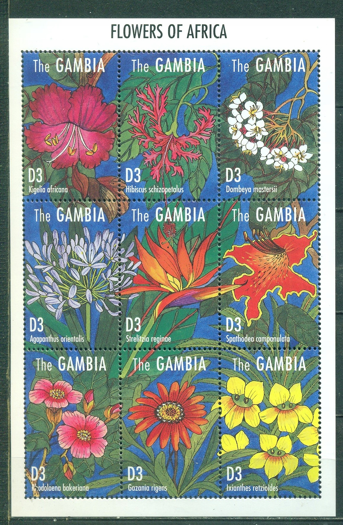 KWIATY- ORCHIDEA.. GAMBIA. Mi Bl. A**