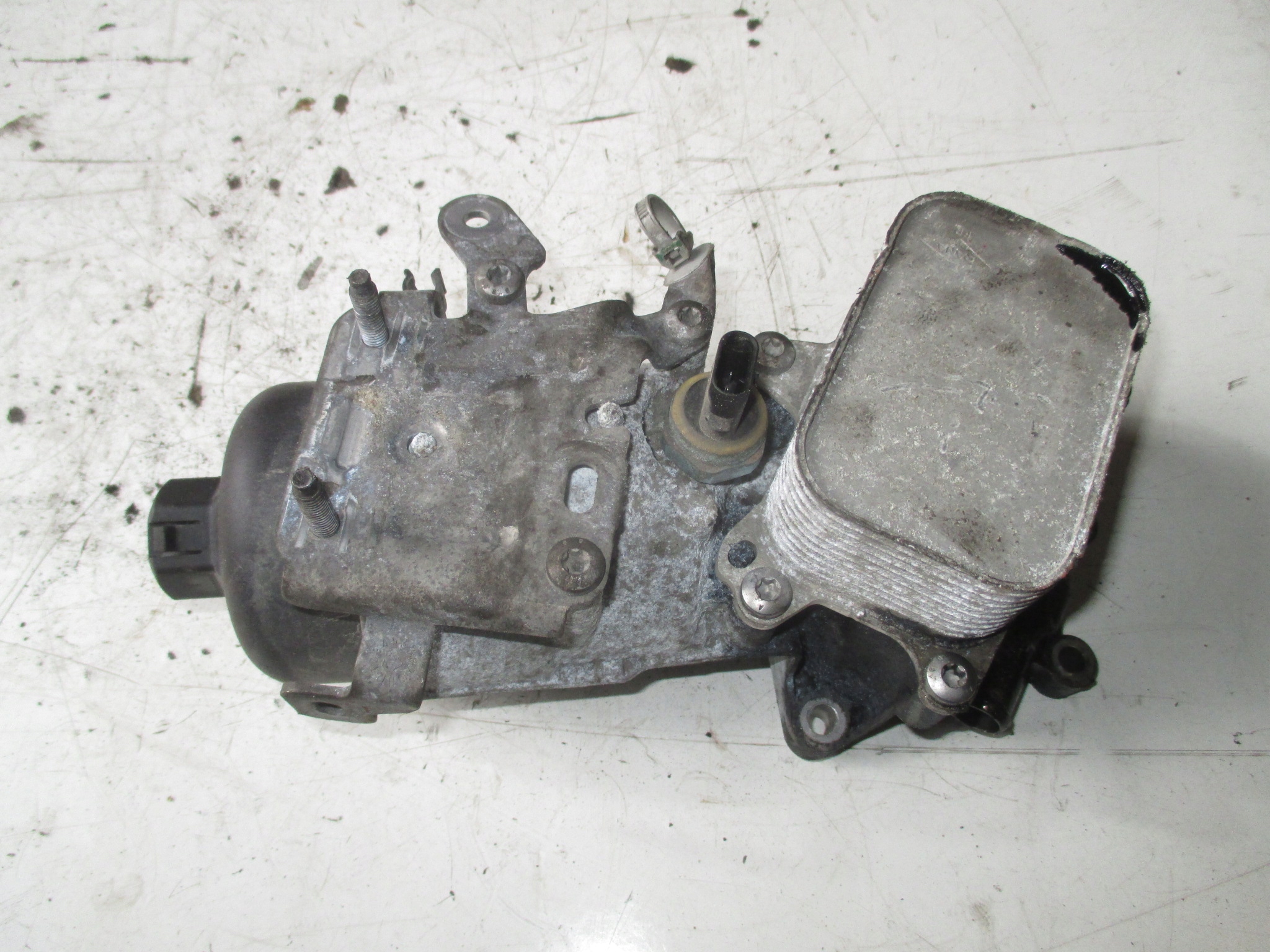 Chłodniczka oleju Expert Jumpy Proace 1.6 16-